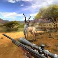 狩猎竞赛游戏最新安卓版 v2.13