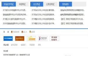 海南省合格性考试成绩查询2020官网版登录系统图片2