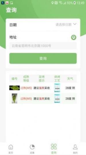 看叶识熟软件官方app图片2
