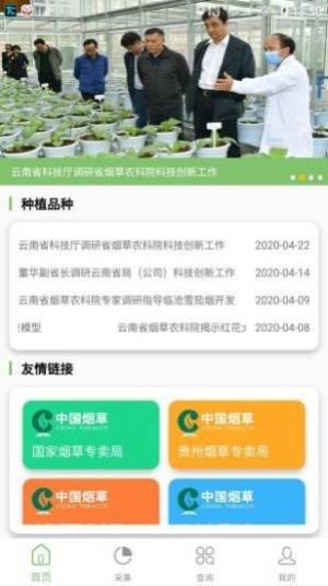 看叶识熟软件官方app图片1