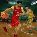 篮球3d模拟器官方版