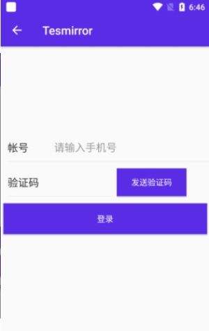 tesmirror特斯拉投屏神器苹果安卓版图片3
