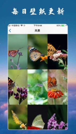 懂我壁纸ios版免费安装包图片3