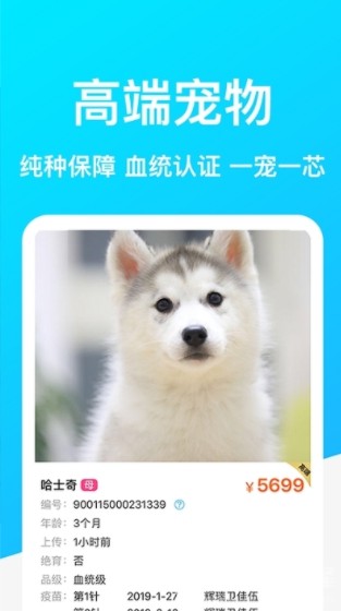 dog breedsAPP手机最新版图片2