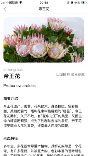 花仟伴APP手机客户端图片1