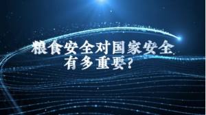 2021我说国家安全如何端好中国饭碗视频观后感心得体会完整版图片3