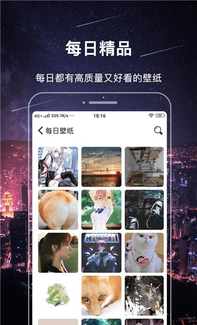 手机主题壁纸精灵app免费安装包图片3
