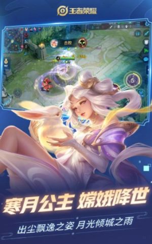 一米天堂王者荣耀游戏官方版图片3