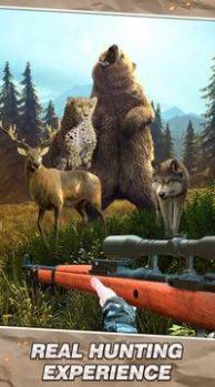 狩猎世界狙击游戏安卓最新版图片2