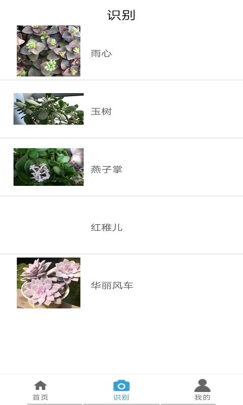 植物图鉴app官方网站图片1