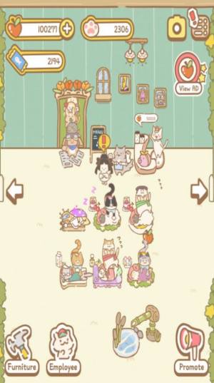 猫咪水疗馆游戏手机安卓版图片3
