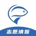 大鱼升学软件apk免费 V1.4.20