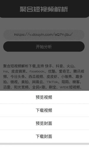 聚合解析app手机版安装图片1