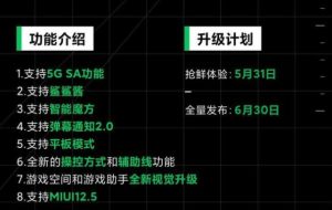 黑鲨3joyui12.5刷机包官方版图片3