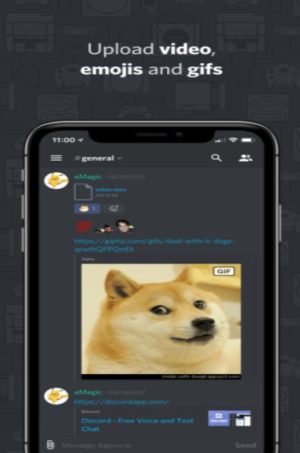 discord手机版ios中文版图片2