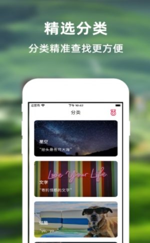 叮咚动态壁纸APP正式版免费图片1