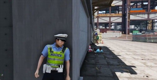 警察虚拟模拟器手机版游戏图片2