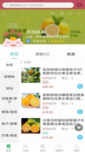 桃源集apk手机客户端图片1