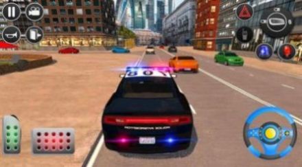 警车追逐驾驶模拟器游戏安卓版图片3